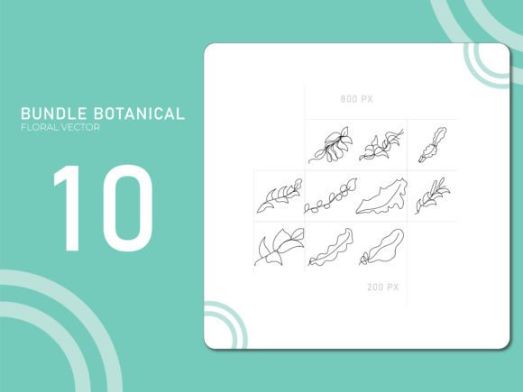 Hand Drawn Botanical Floral Bundle: A Versatile Tool for Creative Projects