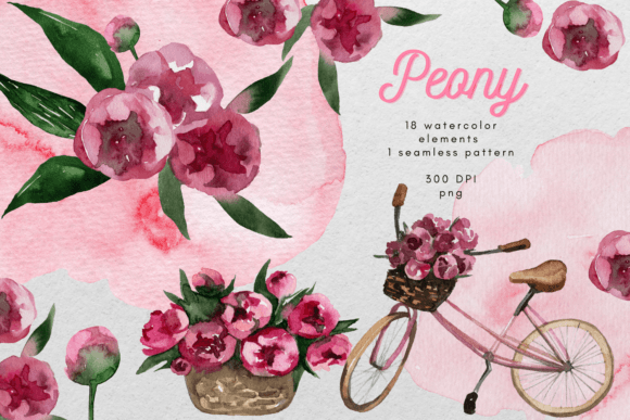 Pink Peony Watercolor Clipart